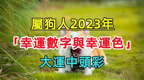 2023屬狗幸運色